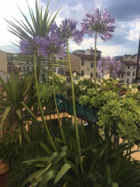 Отель Terrazza su Sant'Ambrogio a Firenze  Флоренция